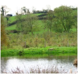 Pond at Lurgaboy Cottages