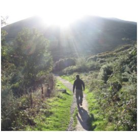 Things to do in Armagh